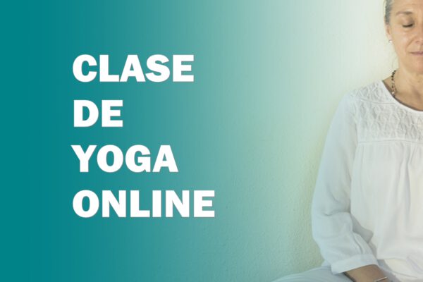 Clase online yoga adultos